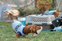 picnic_land_B-0045.jpg