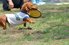 picnic_land_B-0046_thumb.png