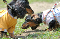 picnic_land_B-0047.jpg