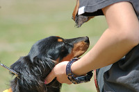 picnic_land_B-0051.jpg