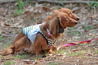 picnic_land_B-0053.jpg