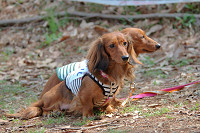 picnic_land_B-0054.jpg