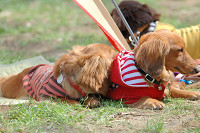 picnic_land_B-0059.jpg