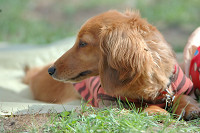 picnic_land_B-0061.jpg