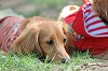 picnic_land_B-0062_thumb.png