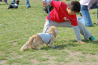 picnic_land_B-0068.jpg
