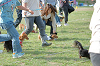 picnic_land_B-0069_thumb.png