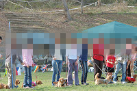 picnic_land_B-0072.jpg