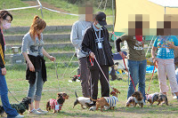 picnic_land_B-0073.jpg