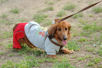 picnic_land_B-0074.jpg