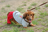 picnic_land_B-0075_thumb.png