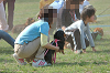 picnic_land_B-0079_thumb.png
