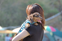 picnic_land_B-0082.jpg