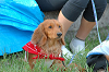 picnic_land_B-0091_thumb.png