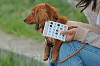 picnic_land_B-0096_thumb.png