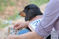 picnic_land_B-0103.jpg