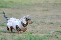 picnic_land_B-0106.jpg