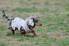picnic_land_B-0107_thumb.png