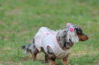 picnic_land_B-0108.jpg