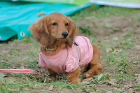 picnic_land_B-0113.jpg