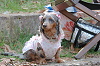 picnic_land_B-0115_thumb.png