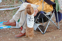 picnic_land_B-0121.jpg