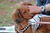 picnic_land_B-0122_thumb.png
