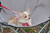 picnic_land_B-0127_thumb.png