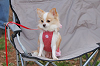 picnic_land_B-0128_thumb.png