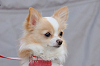 picnic_land_B-0129_thumb.png