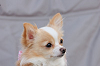 picnic_land_B-0130_thumb.png
