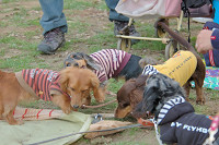picnic_land_B-0131.jpg
