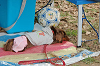 picnic_land_B-0140_thumb.png