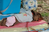 picnic_land_B-0141_thumb.png