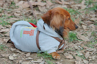 picnic_land_B-0142.jpg