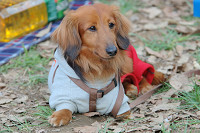 picnic_land_B-0144.jpg