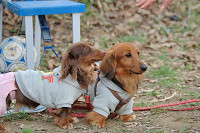 picnic_land_B-0146.jpg
