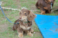 picnic_land_B-0154.jpg