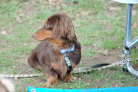 picnic_land_B-0156.jpg
