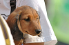 picnic_land_B-0166_thumb.png