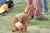 picnic_land_B-0171_thumb.png