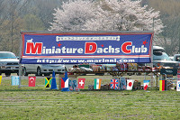 picnic_land_C-0002.jpg