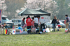 picnic_land_C-0003_thumb.png