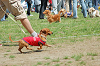 picnic_land_C-0008_thumb.png