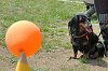 picnic_land_C-0010_thumb.png