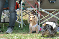 picnic_land_C-0011.jpg