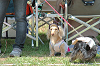 picnic_land_C-0011_thumb.png