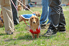 picnic_land_C-0014_thumb.png