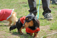 picnic_land_C-0015.jpg