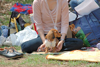 picnic_land_C-0020.jpg